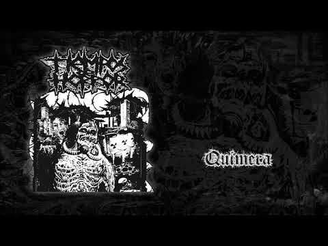 TIEMPOS DE HORROR Quimera