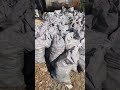 Продам діючий бізнес з виробництва деревного вугілля, печі для випалювання вугілля - фото 1