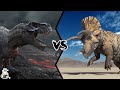 Tyrannosaurus Rex VS Triceratops - Who Would Win In A Fight?