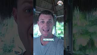 What's happening to Allure of the Seas!