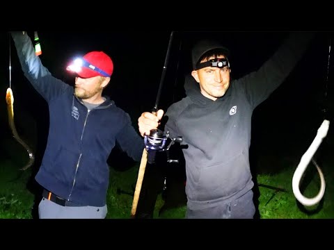 THE EELS ARE ON! Over 20 bites in 3 hours!!💥