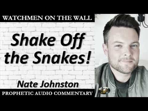 “Shake Off the Snakes!” – Powerful Prophetic Encouragement from Nate Johnston