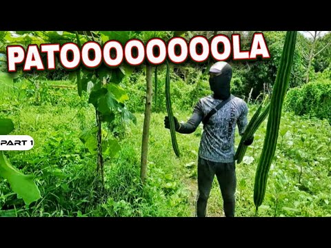 P1-PAMIMITAS NG PATOOOOOOOOOLA - EP1419