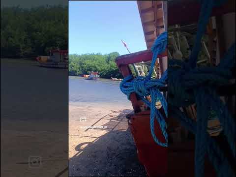 camurupim - Marcação - Paraiba