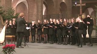 Ding Dong Merrily on high - David Willcocks