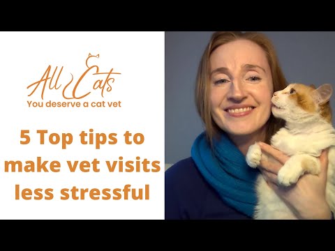 5 Top Tips to make vet visits less stressful