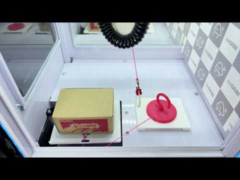 動画のサムネイル