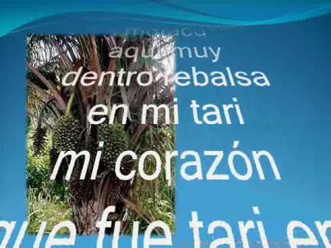 Gladys Moreno-El Guajojo