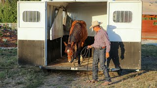 Trailer Loading a Horse with A History of Refusing to Load