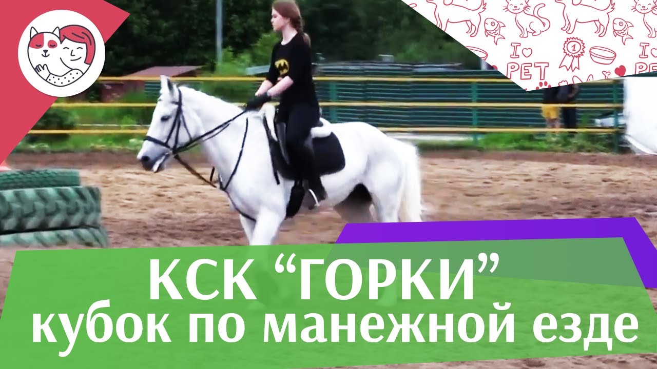 Летний кубок КСК Горки по манежной езде КЮР часть 24 на ilikepet