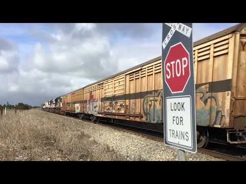 freight train 5PM9 EL62 EL60 C503 CSR012 SCT006 SCT009