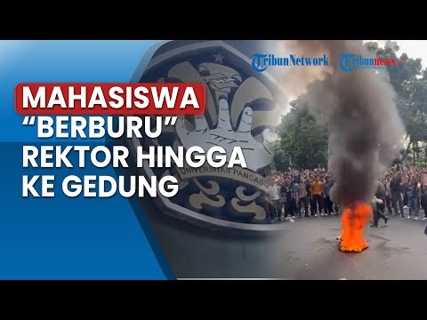 Kasus Dugaan Pelecehan Seks di Kampus UP, Rektor Nonaktif Diminta Kooperatif Jalani Pemeriksaan - TribunNews.com  