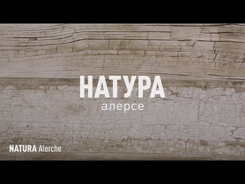 фото плитка керамогранит natura alerche 120х19.5см 0