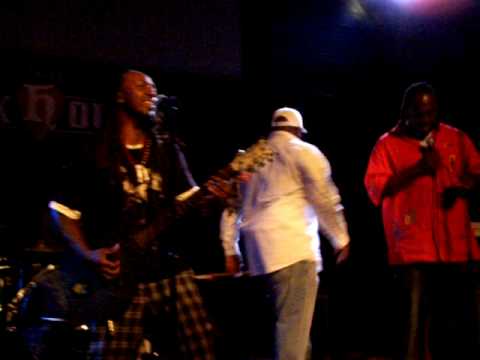 Wildmann Jam Session