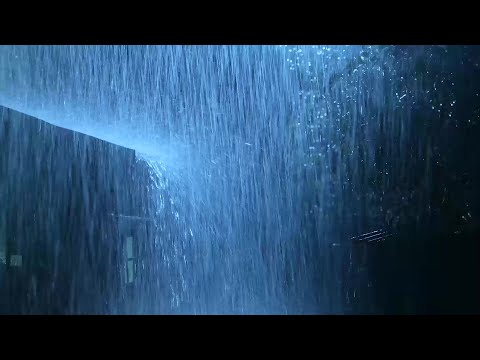 Dimentica L'insonnia e L'ansia con Forti Piogge e Tuoni Intensi sul Tetto nella Foresta di Notte