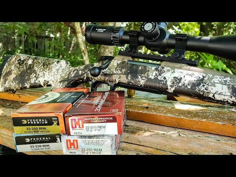 22-250 - Ammo Test - 100 yard groups