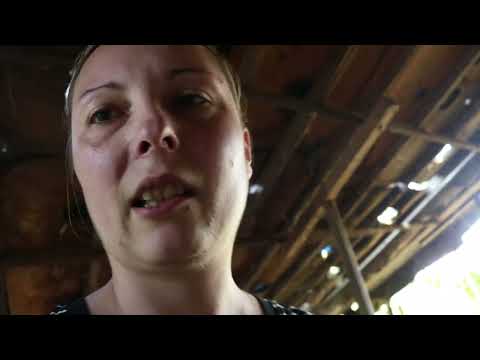 Cvele posle dva dana nespavanja