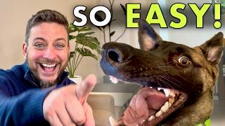 Is This The Best Dog Trick? 💥BANG! You're Dead