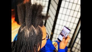 #406. ZIGZAG TRIBAL BRAIDS