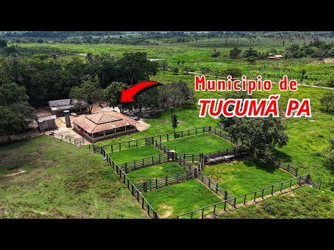 FAZENDA DE 70 ALQUEIRES (goiano) 40 km de tucumã Pará e apenas 17 km do asfalto pra vender! 339 hact