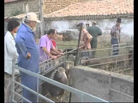 Vidéos pour s'évader quelques minutes... thumbnail