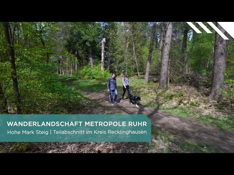 Wandern auf dem Hohen Mark Steig - Wandertipp vom Regionalverband Ruhr