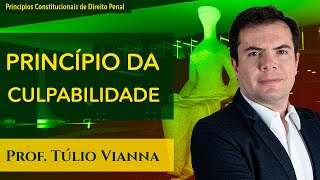 Princípio da Culpabilidade - Curso de Direito Penal - Prof. Túlio Vianna (UFMG)
