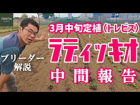 ルディ・リッチョッティについて詳しく解説