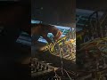 Four Tet @ National Sawdust Brooklyn 3-20-2018 Using Cool Edit Pro Live