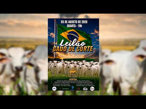 LEILÃO GADO DE CORTE ESTRELA DO AGRO LEILÕES  FAINA-GO 05/08/2026 | Leilão ao Vivo - Leilão de Gado