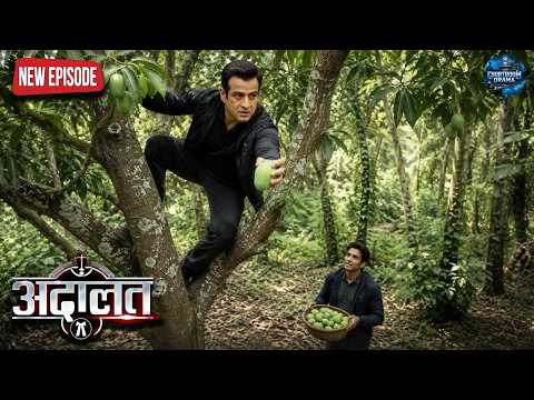 Will KD Pathak open the closed door of the murder mystery with a basket of mangoes? | Adaalat | K...