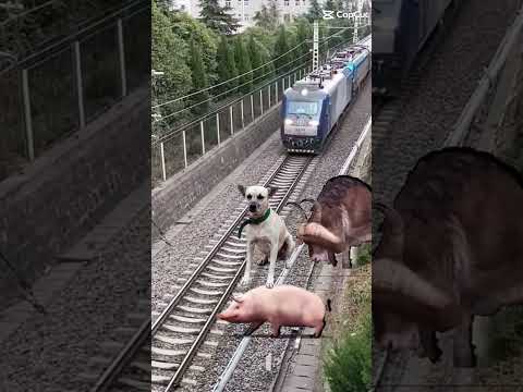 BILL NÃO PERDE A POSE😂😂