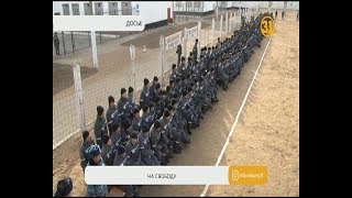 Пять тысяч осужденных выйдут на свободу по амнистии