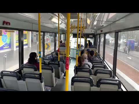 Sydney Bus Group Mercedes-Benz O 405 NH/BusTech (ZF-Ecomat)