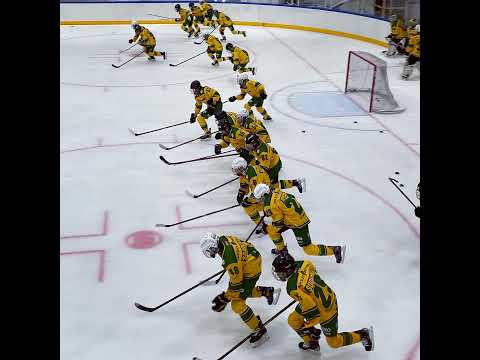 U15 AAA Ilves Detroit - JYP Musta