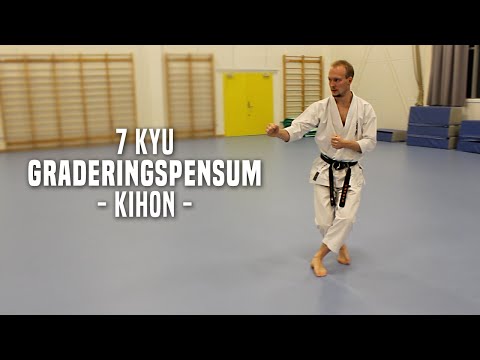 7.Kyu - Kihon
