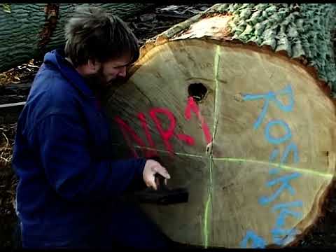 Making Planks for a Viking Ship
