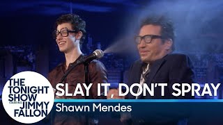 Slay It, Don&#39;t Spray It with Shawn Mendes