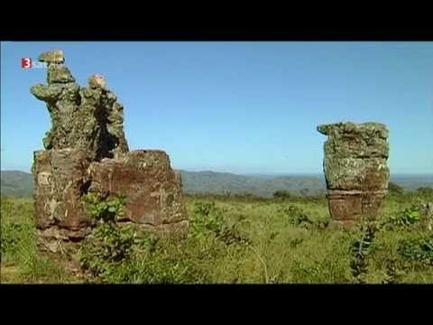 [Doku] Brasiliens fliegende Edelsteine - Auf den Spuren der Rubin-Topas-Kolibris [HD]