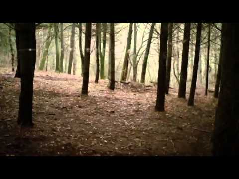 2015 Pânico Na Floresta 6 