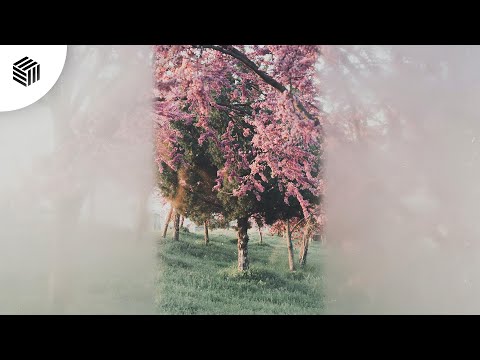 Blaze U - Hide & Seek (ft. Polar)