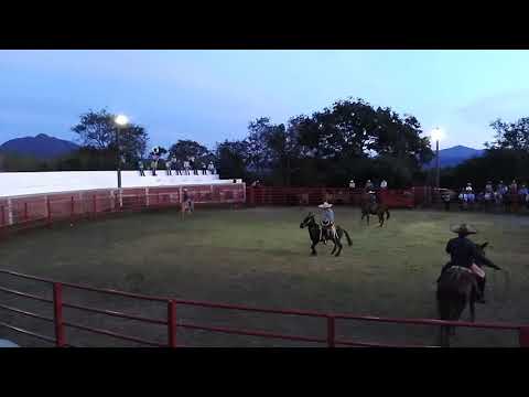 Piales corveros, Charco Azul 2018