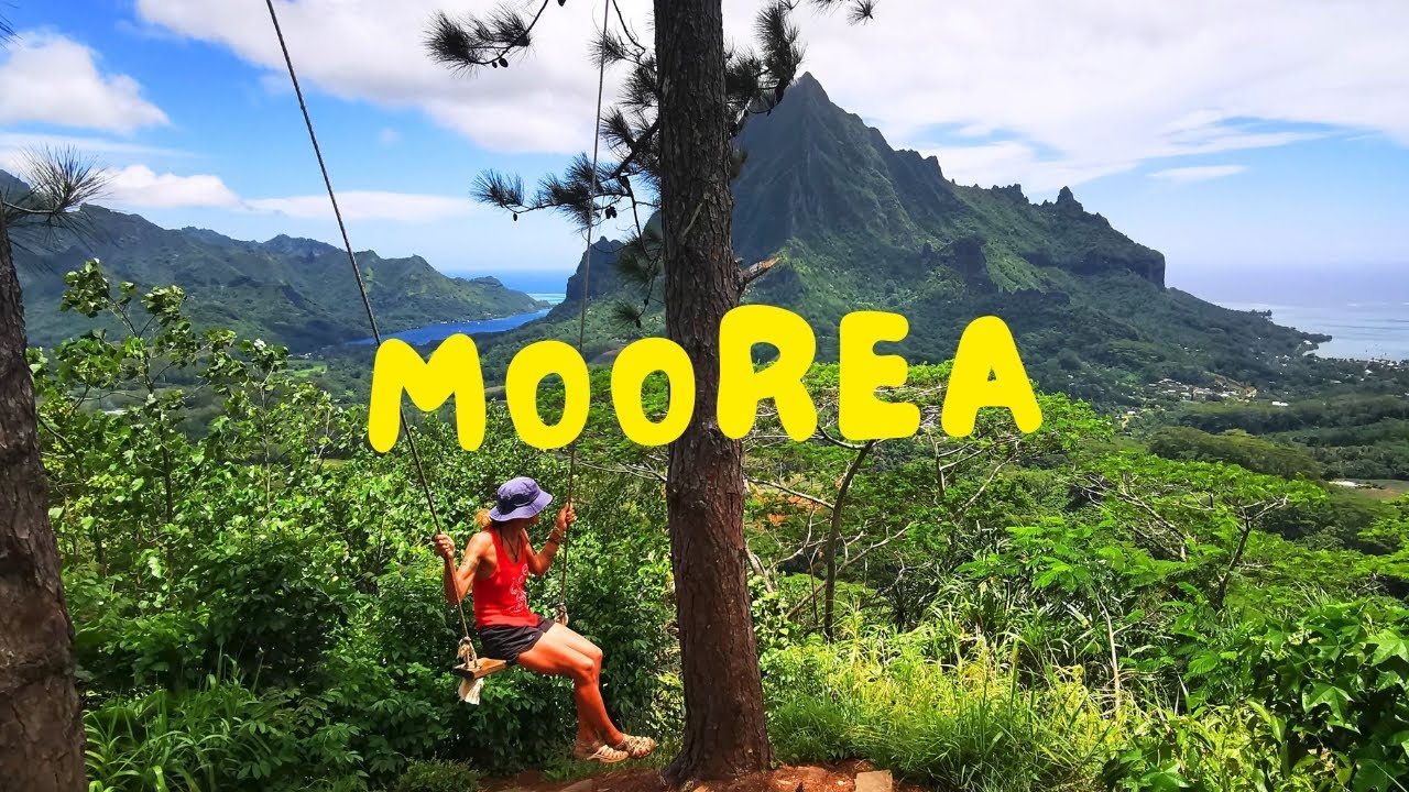 Discovering MOOREA: A different setting and a different vibe... EP. 61