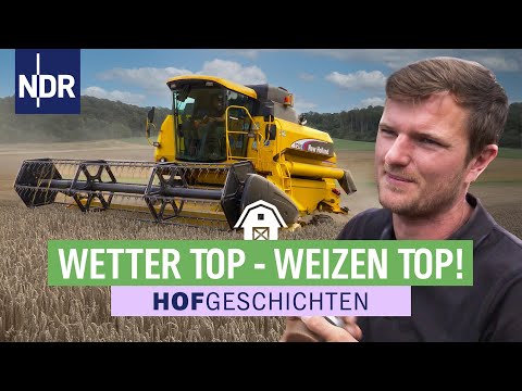 Geiles Wetter - leckerer Weizen! | Hofgeschichten: Leben auf'm Land (345) | NDR