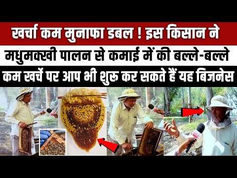 Expense less profit double! This Kisaan earns a lot from Madhumakhi Palan. Honey Bee Farming Expense less profit double! This Kisaan earns a lot from Madhumakhi Palan. Honey Bee Farming