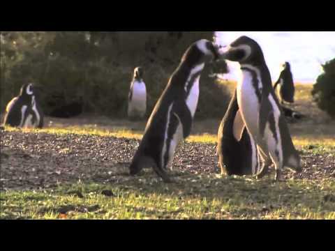 2 Elements vs Dave Kurtis Remix for The Cube Guys vs B. Tucker - I Wanna Dance With Somebody