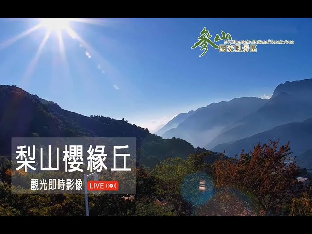 梨山美景櫻緣丘