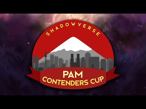 PAM Contenders Cup - SVO 2018