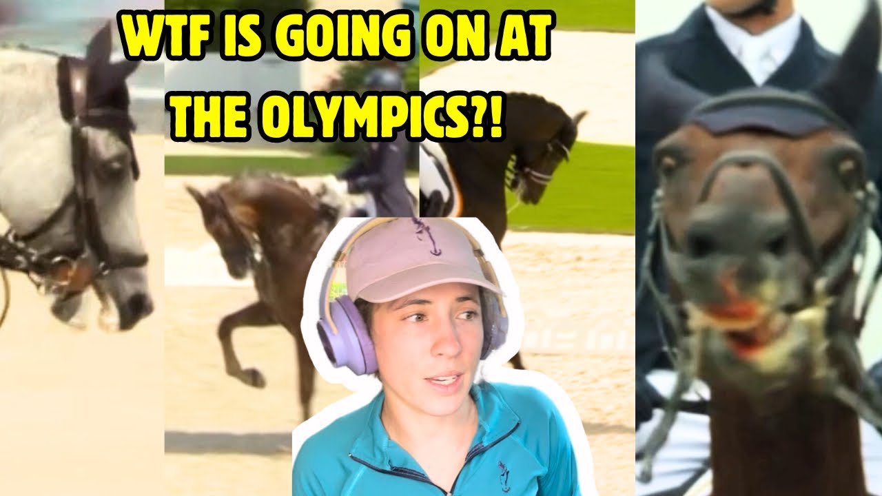 Paris Olympic Equestrian Sports: A WELFARE DISASTER | Horse Behaviour Specialist Speaks Out