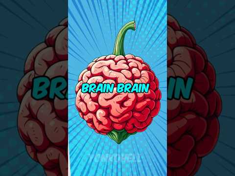 Brain Brain no Mi Devil Fruit explained.
